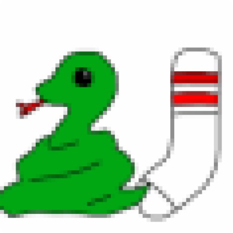 Snake Sock | Boomplay Music