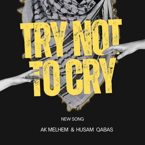 Try Not To Cry ft. Ak Melhem | Boomplay Music