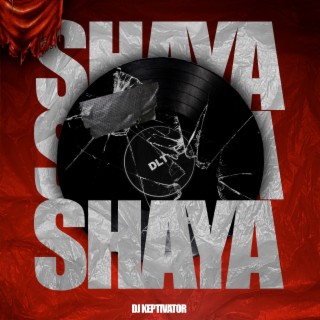 Shaya (D.L.T)