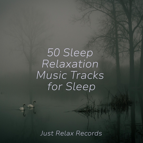 Harbor Hushes and Sea Songs ft. Sleep Baby Sleep & Deep Sleep Meditation | Boomplay Music