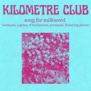 Song for Milkweed (asclepias, a genus of herbaceous, perennial, flowering plants)