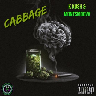 Cabbage ft. MontSmoovv lyrics | Boomplay Music