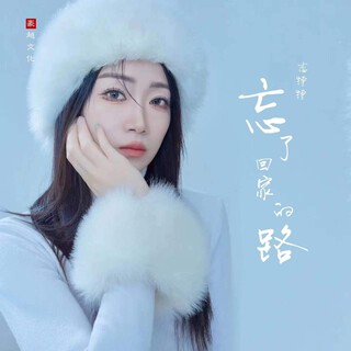 忘了回家的路 lyrics | Boomplay Music