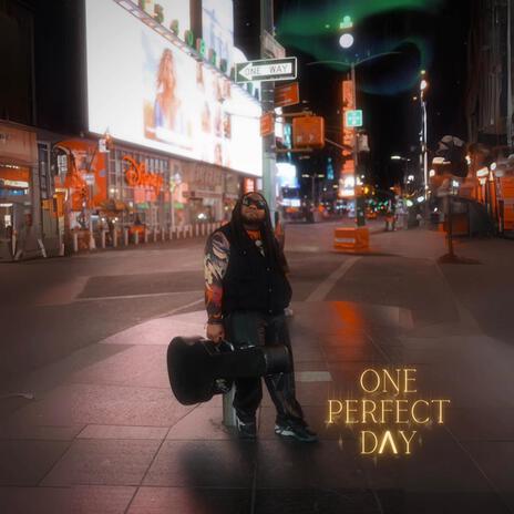 One Perfect Day