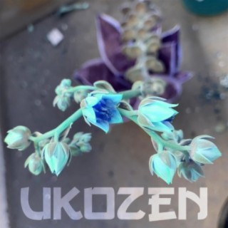 Ukozen