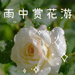 雨中赏花游