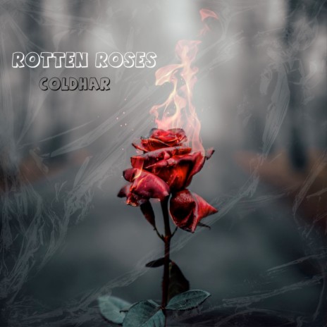 Rotten Roses | Boomplay Music