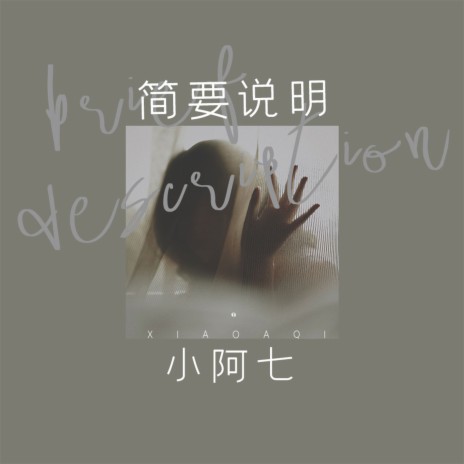 简要说明 | Boomplay Music