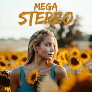 mega stereo