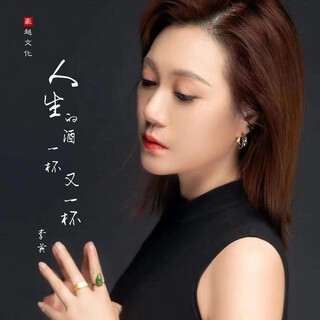 人生的酒一杯又一杯（DJ默涵版） lyrics | Boomplay Music