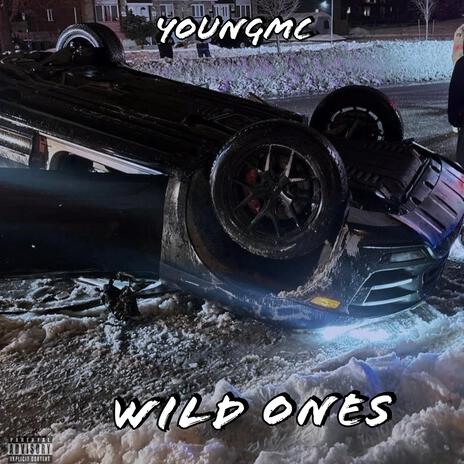 Wild Ones | Boomplay Music