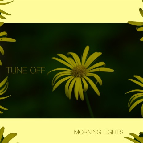 Morning Lights | Boomplay Music