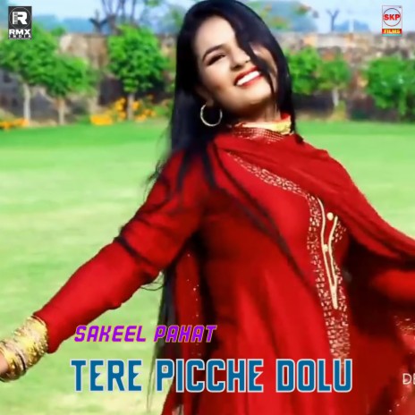 Tere Piche Dolu ft. Javed Akhtar Alwar & Juber Ronpuriya | Boomplay Music