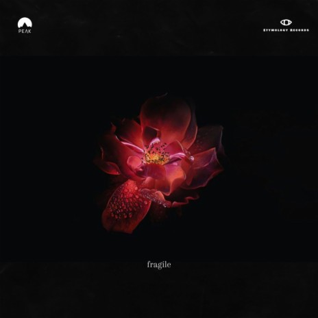 Fragile ft. Ky akasha | Boomplay Music