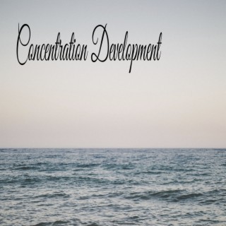 Concentration Development