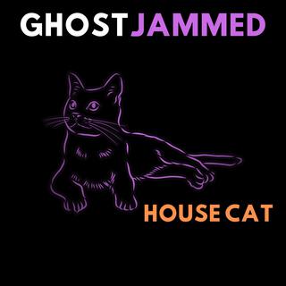 HOUSE CAT