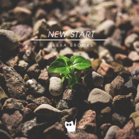 New Start (Original Mix)