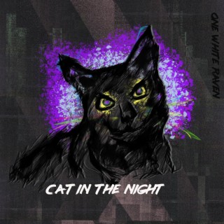 Cat In The Night