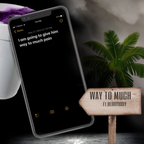 WAY TO MUCH ft. Berrybxby | Boomplay Music