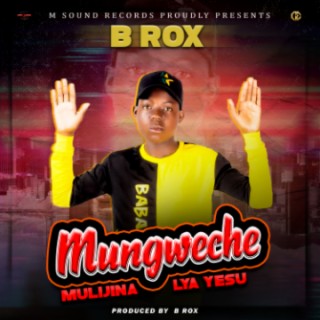 B ROX -- Mungweche