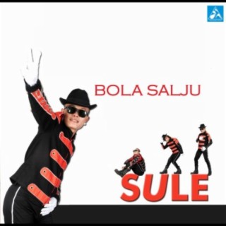 Bola Salju