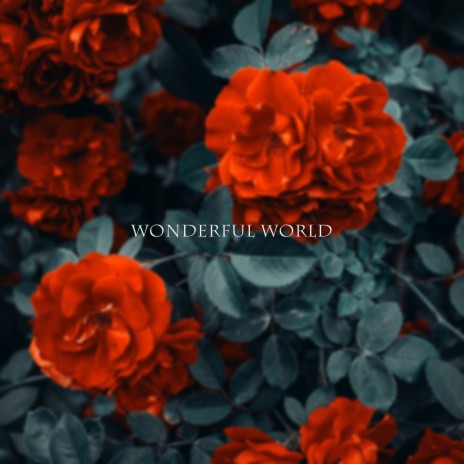 Wonderful World | Boomplay Music