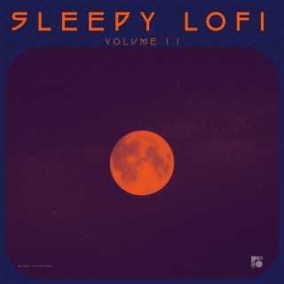 Sleepy Lofi, Vol. 1