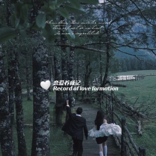 Record of love formation 恋爱养成记 lyrics | Boomplay Music