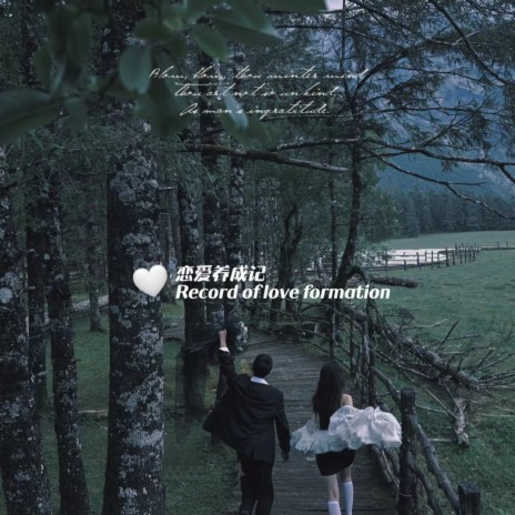 Record of love formation 恋爱养成记 | Boomplay Music