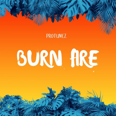Burn Fire | Boomplay Music