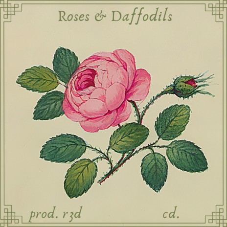 Roses & Daffodils | Boomplay Music