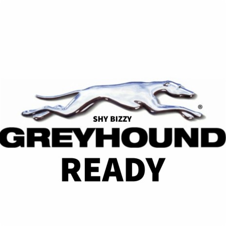 Greyhound Ready