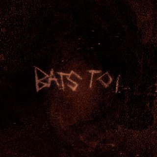 Bats toi