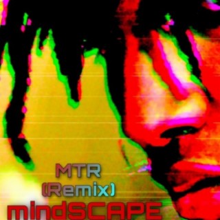 MISS THE RAGE (mindSCAPE Remix)