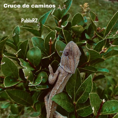 Cruce de caminos | Boomplay Music