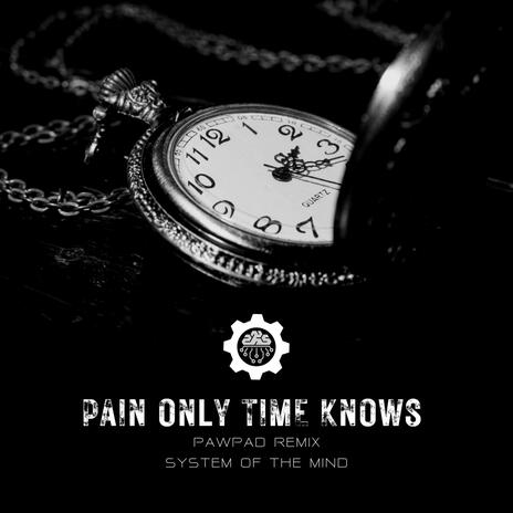 A Pain Only Time Knows (PawPad Remix)