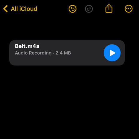 Belt | Boomplay Music