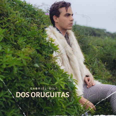 Dos Oruguitas | Boomplay Music