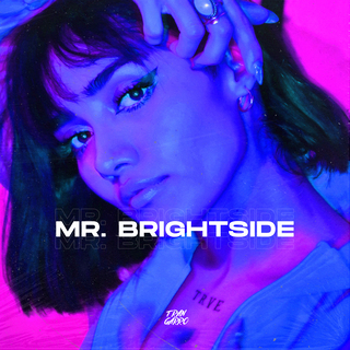 Mr. Brightside (Remix)