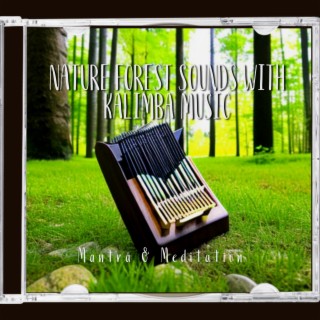 Nature Forest Sounds with Kalimba Music