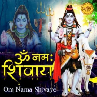 Om Nama Shivaye