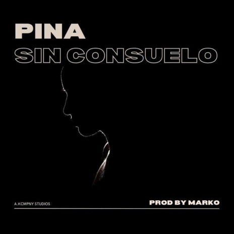 Sin Consuelo | Boomplay Music