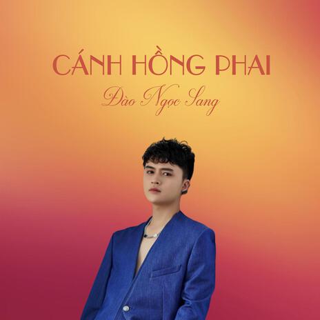 Cánh Hồng Phai - Đào Ngọc Sang | Boomplay Music
