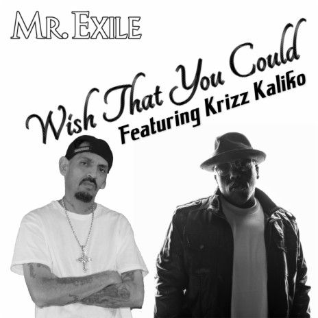 Wish That You Could ft. Krizz Kaliko | Boomplay Music
