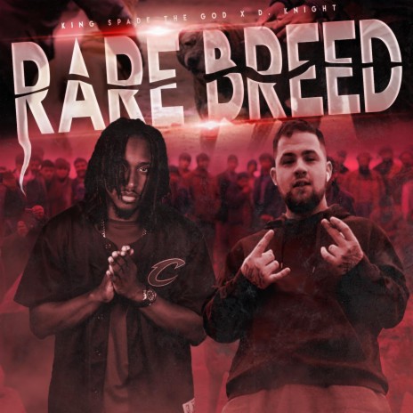 Rare Breed ft. D. Knight | Boomplay Music