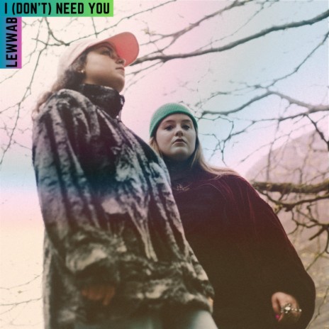 I (Don't) Need You | Boomplay Music