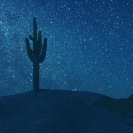 Desert Night, Sacred Space | Boomplay Music