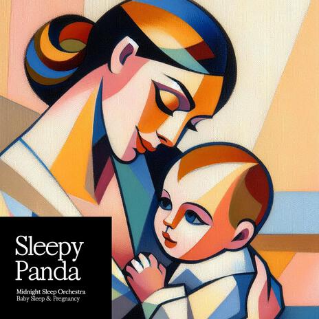 Sleepy Panda | Boomplay Music