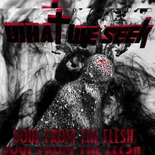 Soul From The Flesh lyrics | Boomplay Music