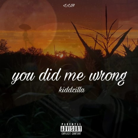 You did me wrong | Boomplay Music